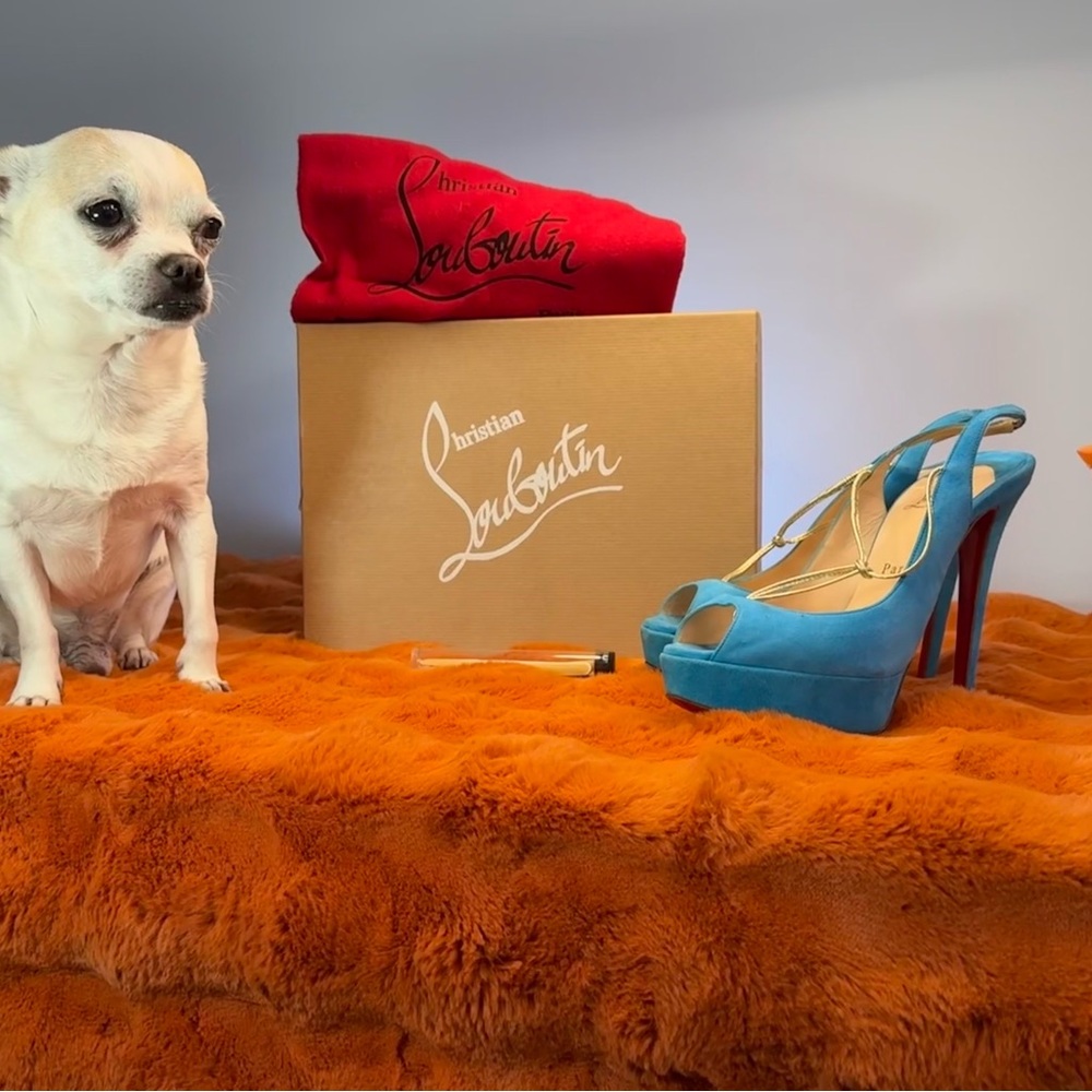 Rare Christian Louboutin Blue Alta Spritney
